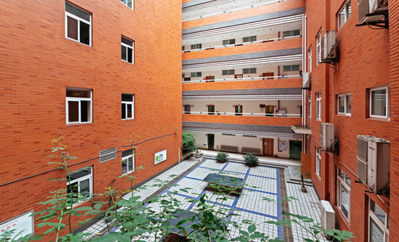 ɳƺ��У�^�̌W��